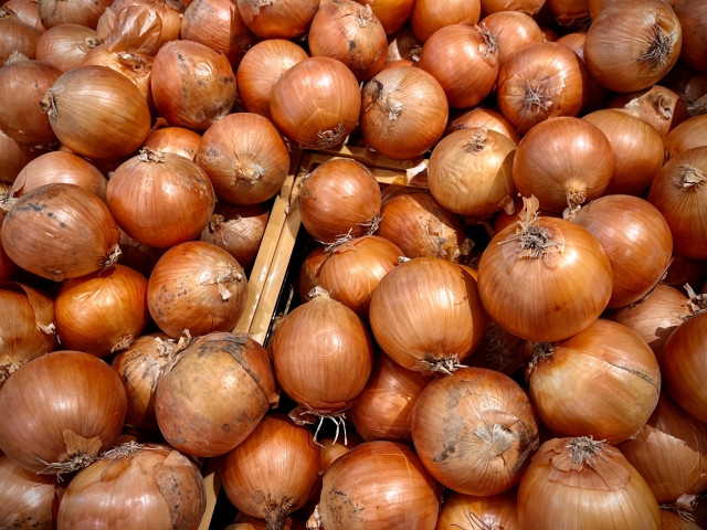 淡路島の玉ねぎ